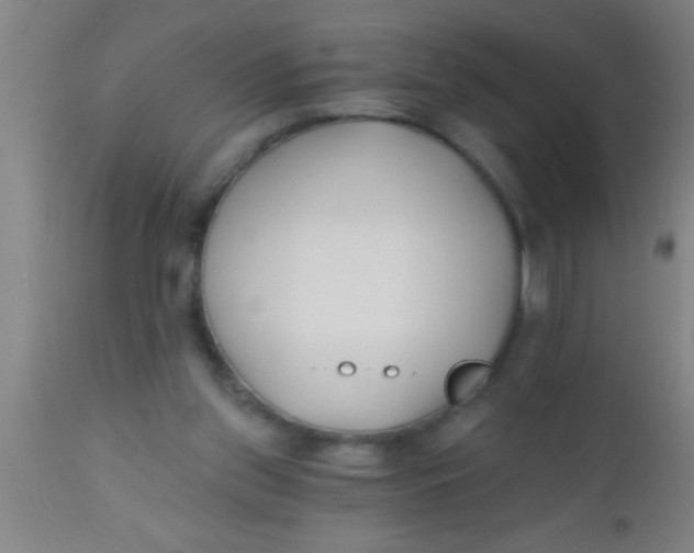 X0000112540157200909071430