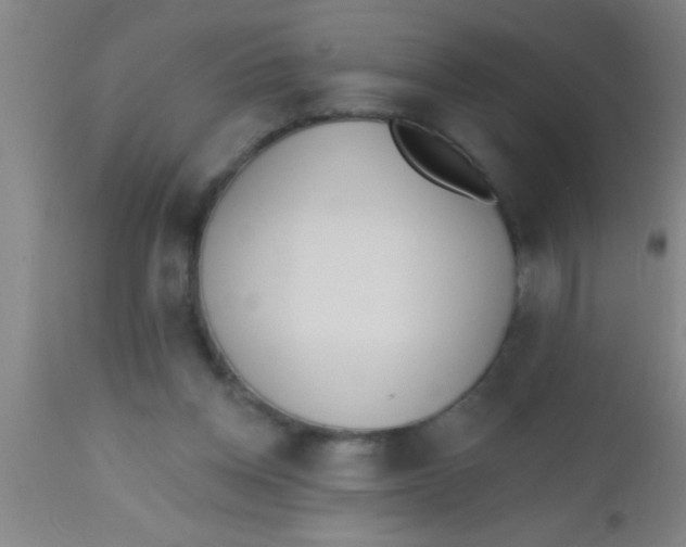 X0000112540158200909071430