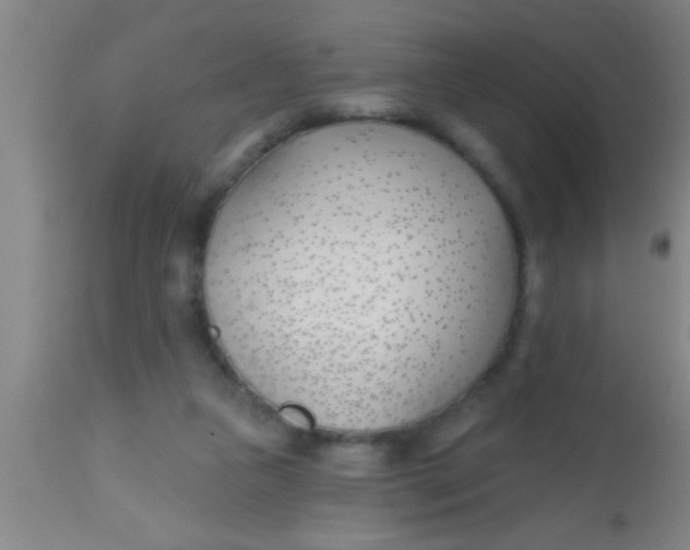 X0000112540161200909071430
