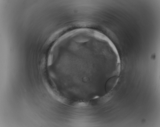X0000112540163200909071430