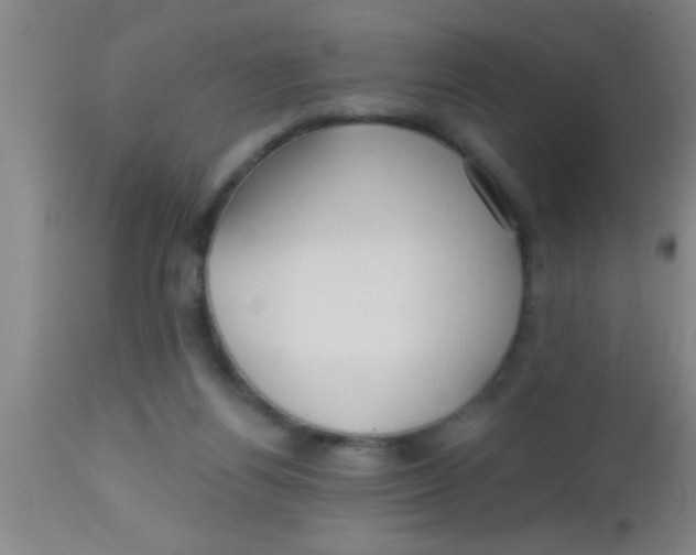 X0000112540164200909071430