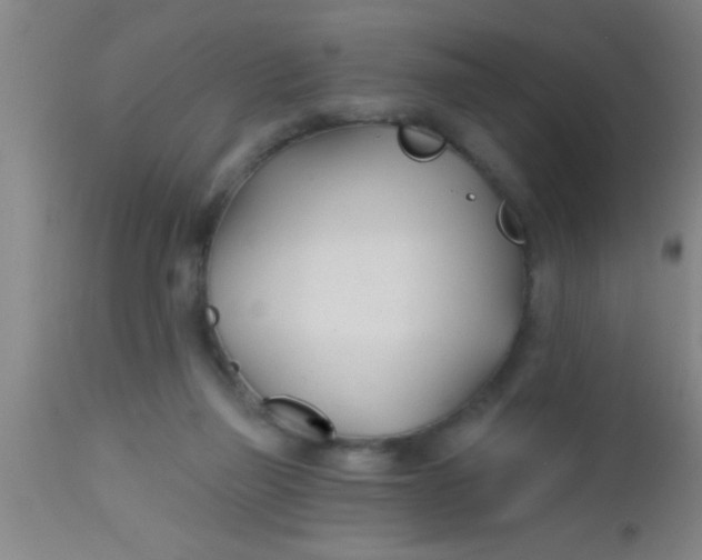X0000112540165200909071430