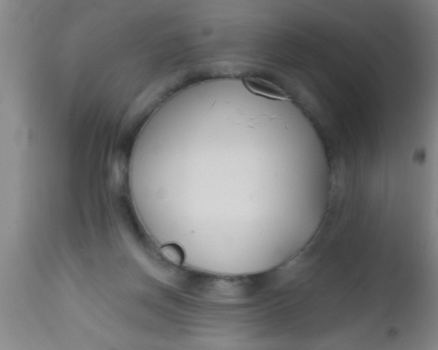 X0000112540166200909071430