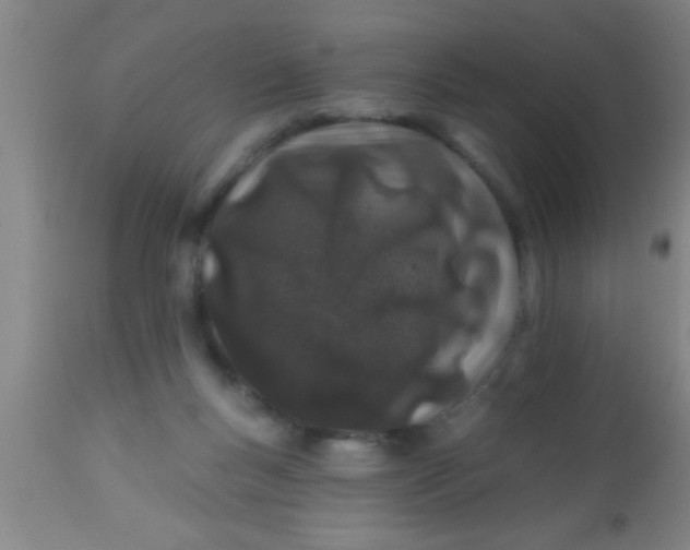 X0000112540167200909071430