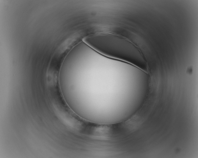 X0000112540168200909071430