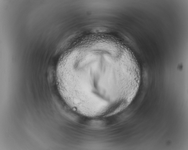 X0000112540169200909071430