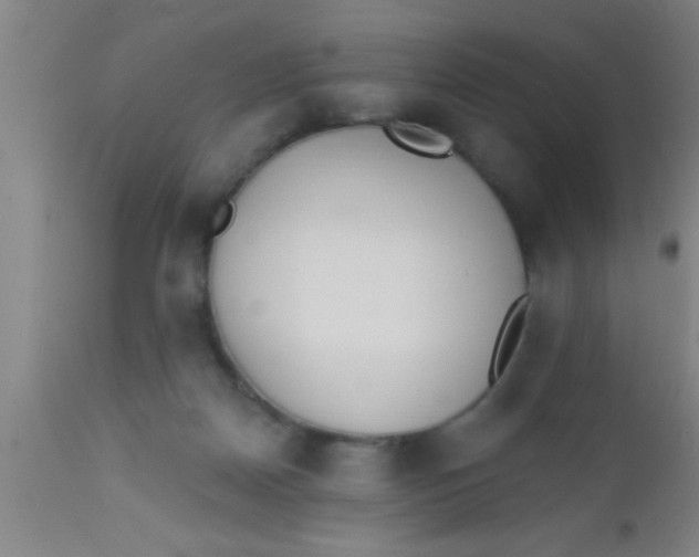 X0000112540170200909071430