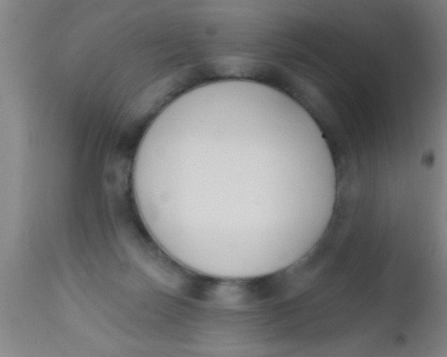 X0000112540171200909071430