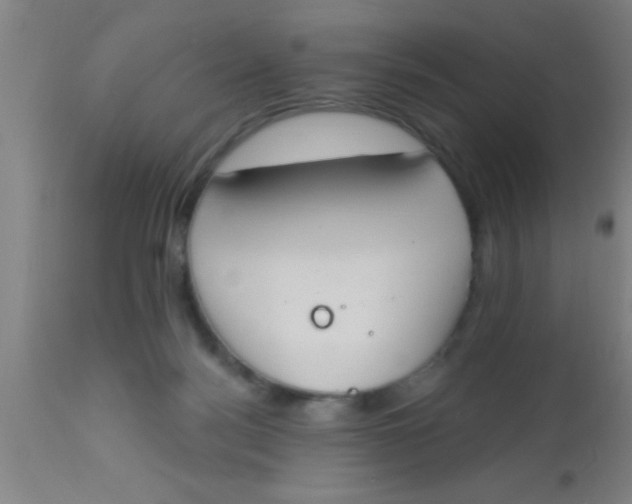 X0000112540172200909071430