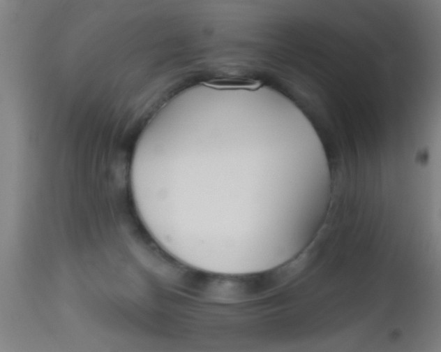 X0000112540174200909071430
