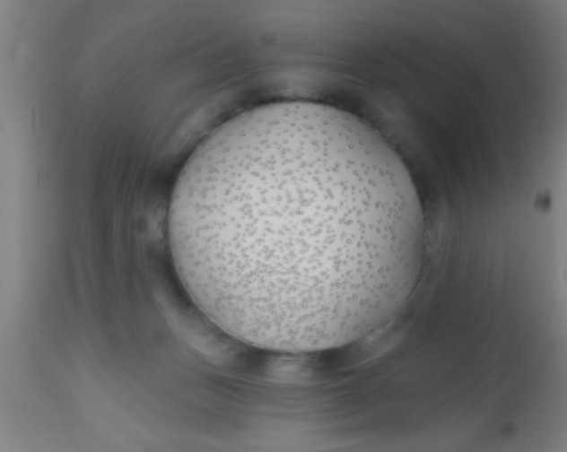 X0000112540175200909071430