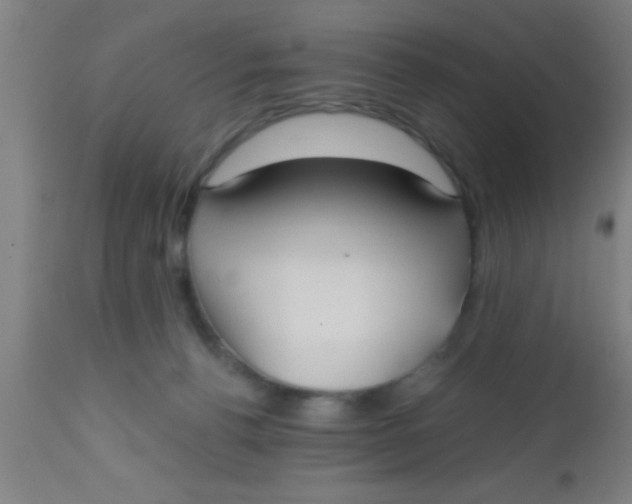 X0000112540176200909071430