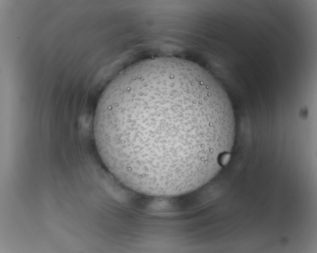 X0000112540177200909071430