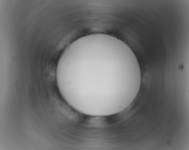 X0000112540179200909071430