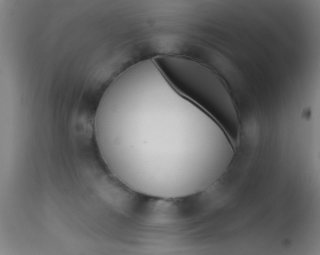 X0000112540180200909071430