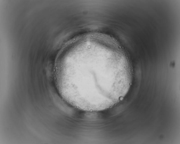 X0000112540181200909071430