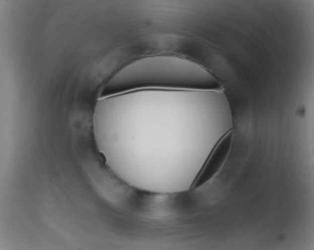 X0000112540184200909071430