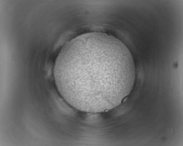 X0000112540185200909071430