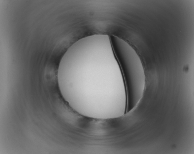 X0000112540186200909071430