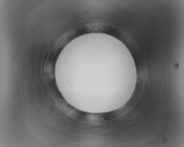 X0000112540187200909071430