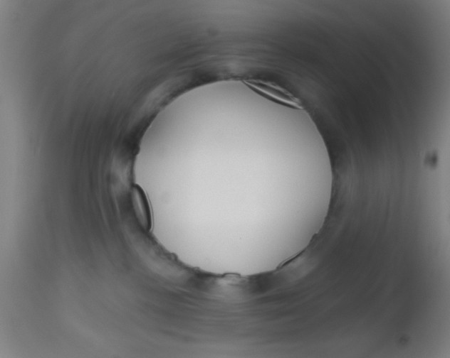 X0000112540188200909071430