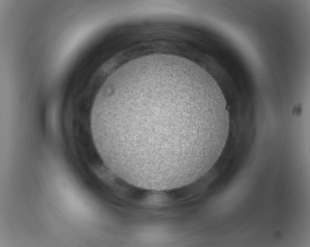X0000112540189200909071430