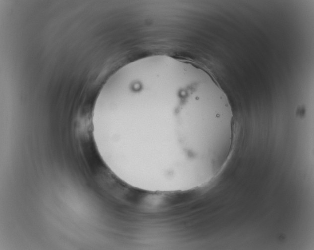 X0000112540190200909071430