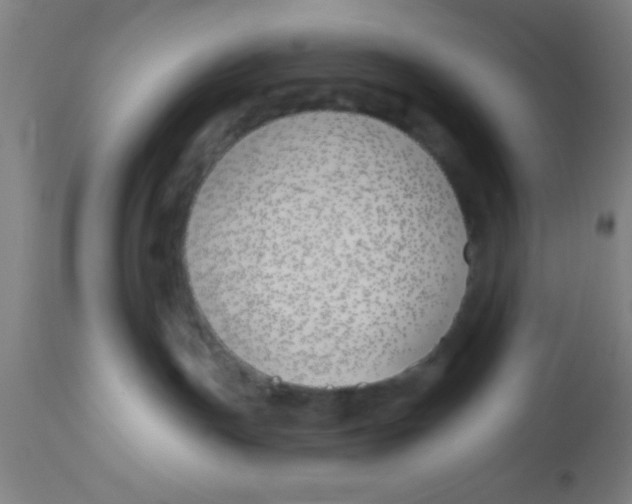 X0000112540191200909071430