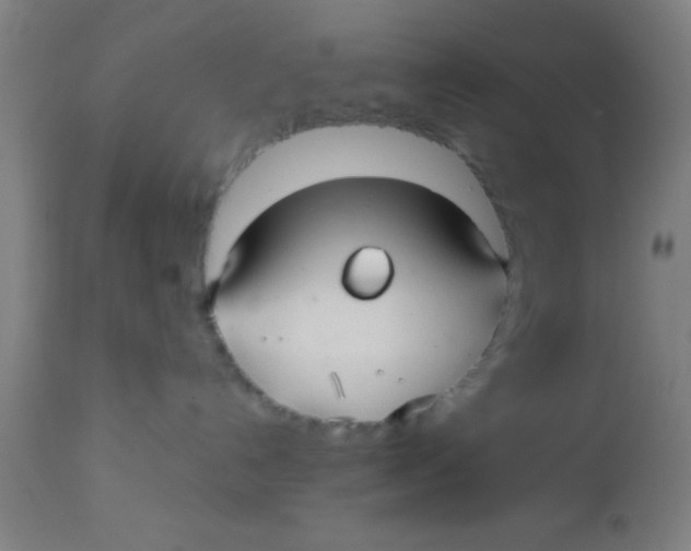 X0000112540192200909071430