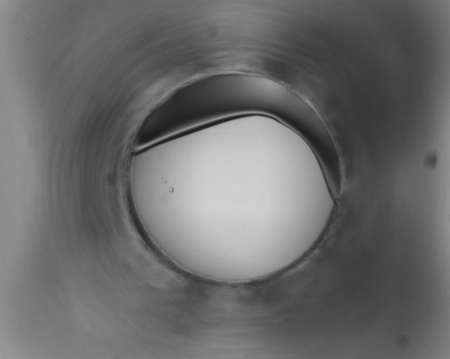 X0000112540193200909071430