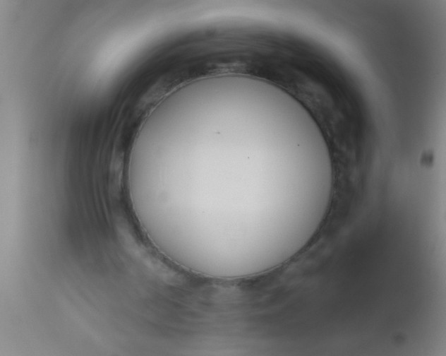 X0000112540194200909071430