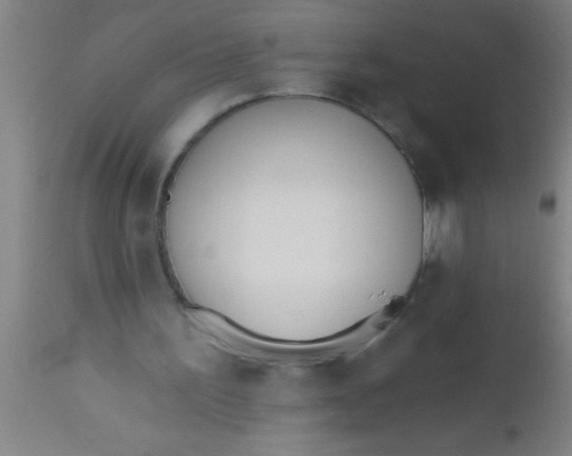 X0000112540195200909071430