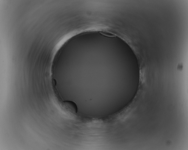 X0000112540196200909071430