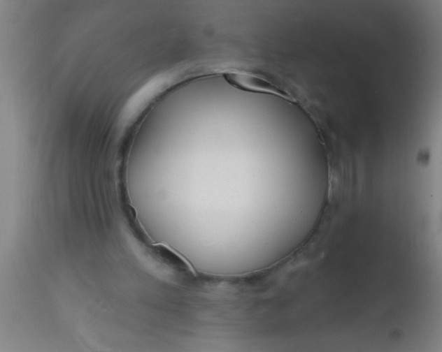 X0000112540197200909071430