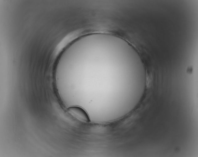 X0000112540198200909071429