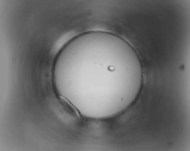 X0000112540199200909071429