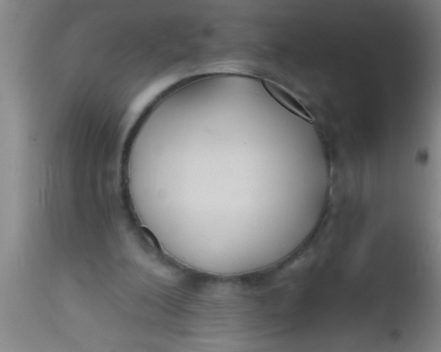 X0000112540200200909071429