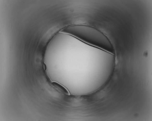 X0000112540201200909071429