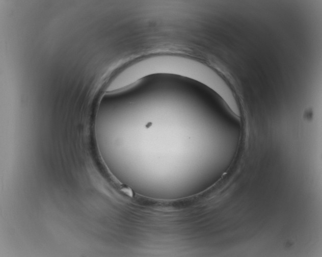 X0000112540203200909071429