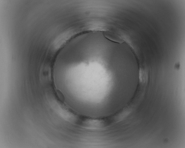 X0000112540205200909071429