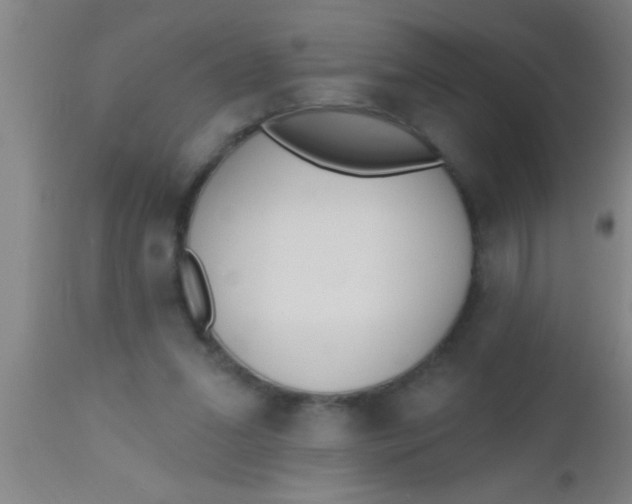 X0000112540207200909071429