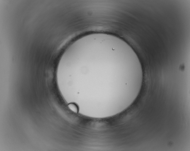X0000112540208200909071429