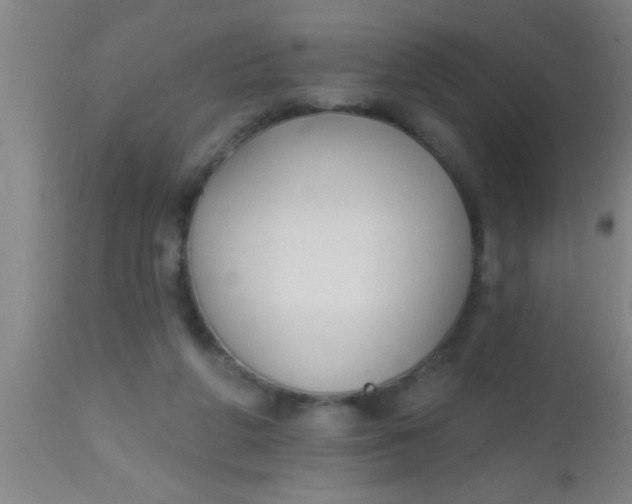 X0000112540210200909071429