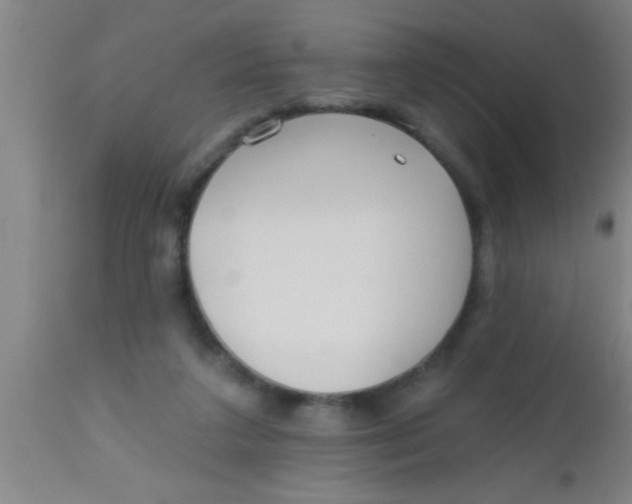 X0000112540211200909071429