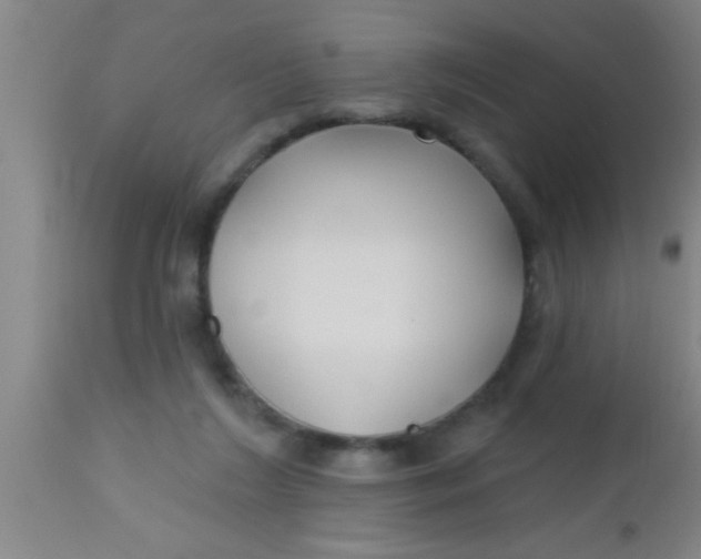 X0000112540212200909071429