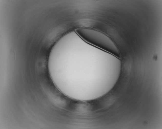 X0000112540215200909071429