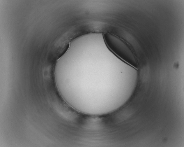 X0000112540217200909071429