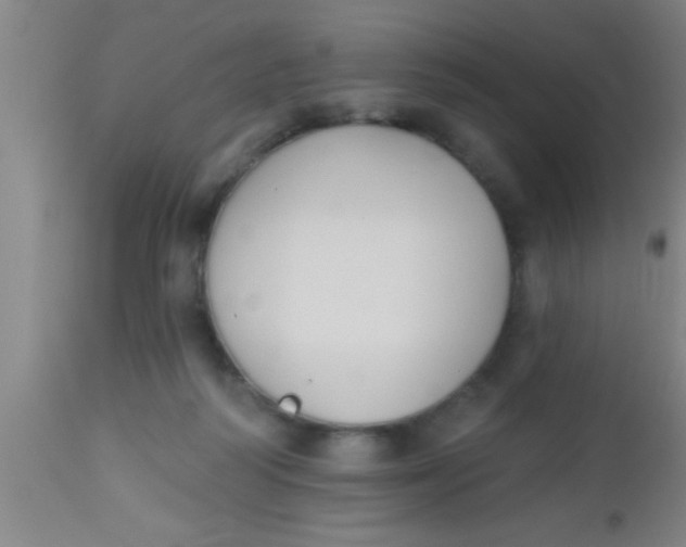 X0000112540218200909071429