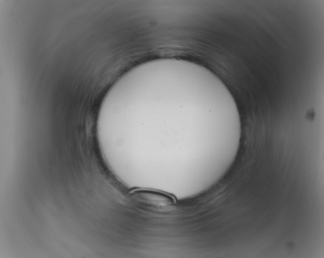 X0000112540219200909071429