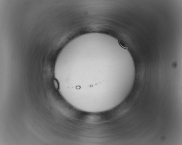 X0000112540220200909071429